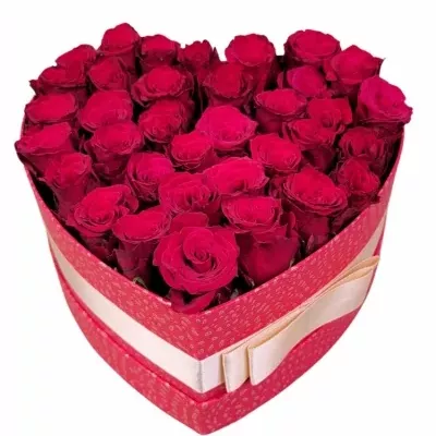 Valentýnské srdce růží  CATERINE střední