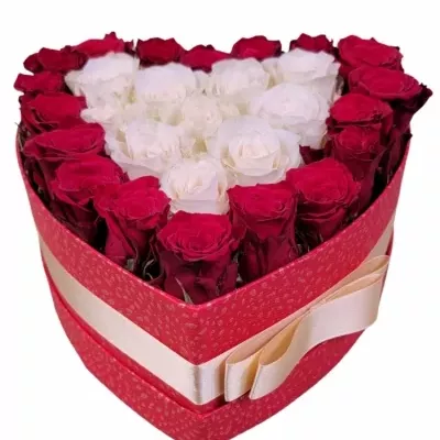 Valentýnské srdce růží EDITH střední