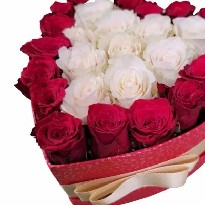 Valentýnské srdce růží EDITH střední