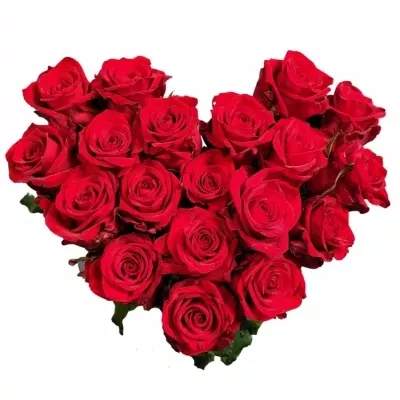 Valentýnské srdce z 19 růží RED EAGLE 60cm