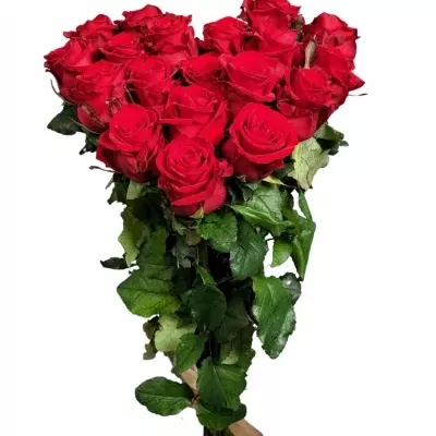 Valentínske srdce z 19 ruží RED EAGLE 70cm