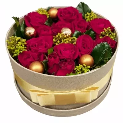 Vánoční krabička ANNABETH šampaň 18x8xm (FLR)