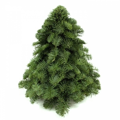 Vánoční stromek dekorace Jedle vznešená 30cm