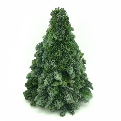 Vánoční stromek dekorace Jedle vznešená 40cm