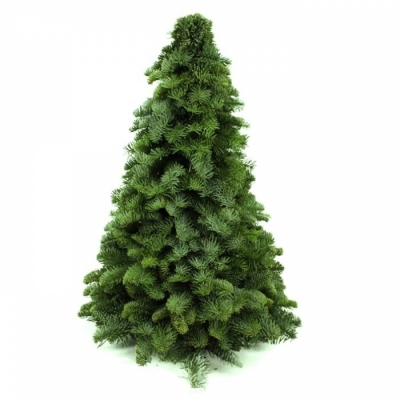 Vánoční stromek dekorace Jedle vznešená 50cm