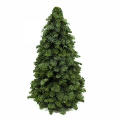 Vánoční stromek dekorace Jedle vznešená 60cm