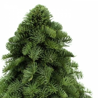 Vánoční stromek dekorace Jedle vznešená 60cm