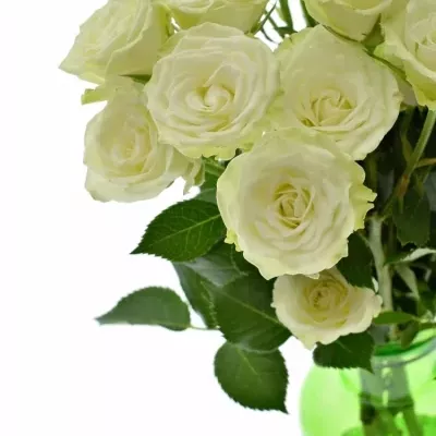 Váza 5 trsových růží ADRIANNE 45cm