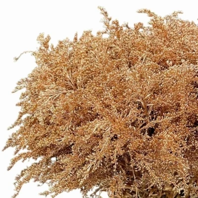 Zlatobýl COPPER 70cm/30g