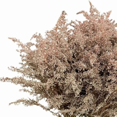 Zlatobýl ROSE GOLD 70cm/30g