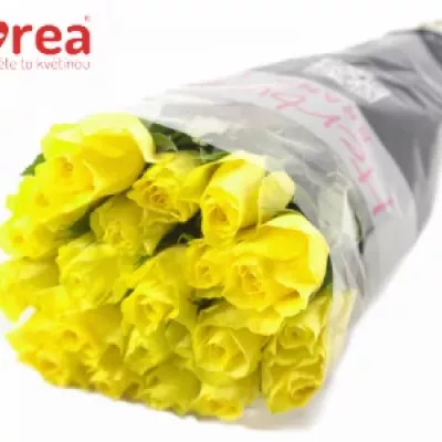 Žlutá růže CITRAN 50cm