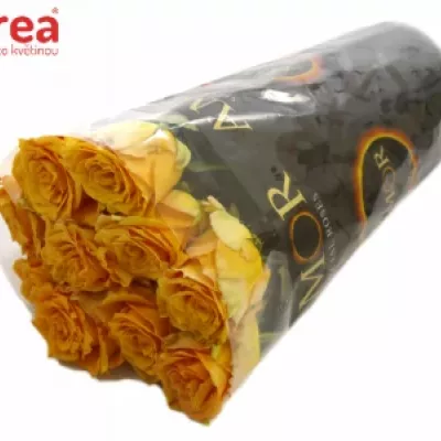 Žlutá růže COSIMA 30cm