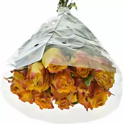 Žlutá růže DOWNTOWN! 50cm (L)