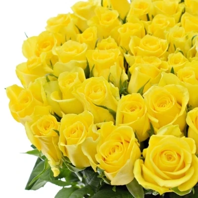 Žlutá růže MOONWALK 50cm X(L)