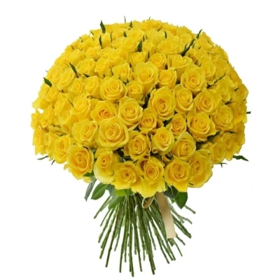 Žlutá růže MOONWALK 50cm X(L)