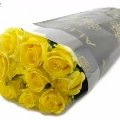 Žlutá růže STARDUST