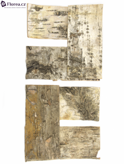 BIRCH BARK PACK 16x7cm