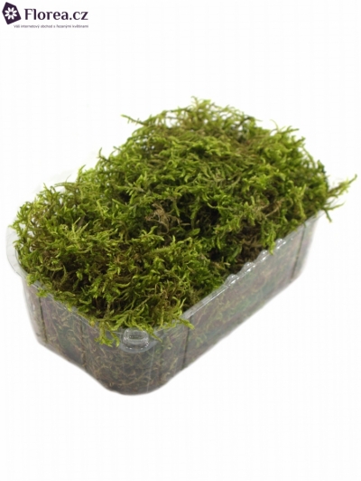 MOSS BLISTERVERPAKKING PLATMOS