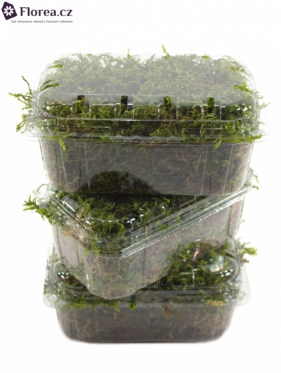 MOSS BLISTERVERPAKKING PLATMOS