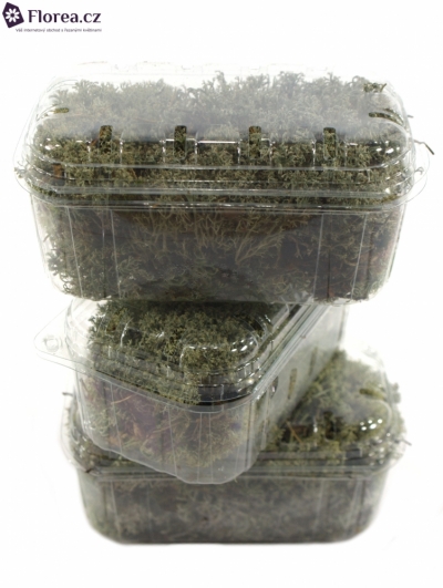 MOSS BLISTERVERPAKKING ZILVERMOSS