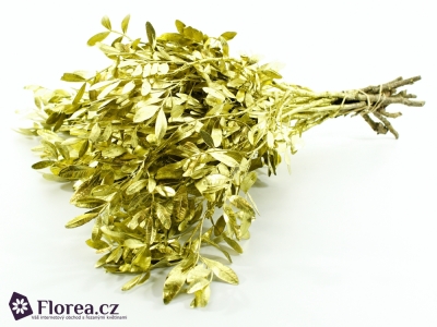 PISTACHE GOLD